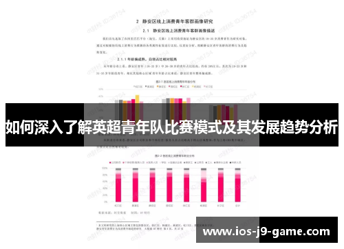 如何深入了解英超青年队比赛模式及其发展趋势分析