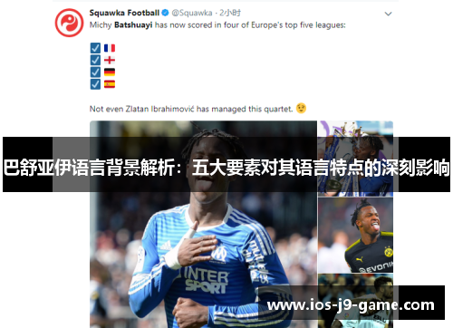 巴舒亚伊语言背景解析:五大要素对其语言特点的深刻影响 巴舒亚伊语言背景解析:五大要素对其语言特点的深刻影响