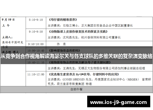 从竞争到合作视角解读海瑟尔关与各支球队的多维关联的复杂演变脉络