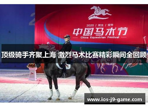 顶级骑手齐聚上海 激烈马术比赛精彩瞬间全回顾 顶级骑手齐聚上海 激烈马术比赛精彩瞬间全回顾