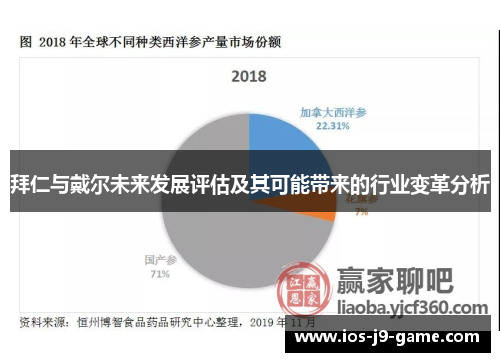 拜仁与戴尔未来发展评估及其可能带来的行业变革分析 拜仁与戴尔未来发展评估及其可能带来的行业变革分析