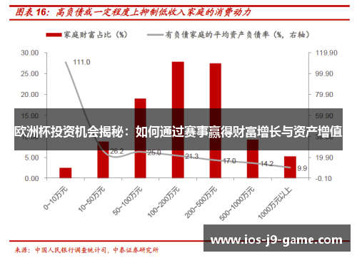 欧洲杯投资机会揭秘：如何通过赛事赢得财富增长与资产增值