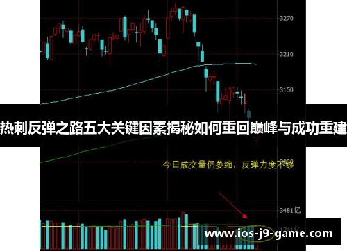 热刺反弹之路五大关键因素揭秘如何重回巅峰与成功重建