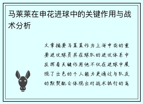 马莱莱在申花进球中的关键作用与战术分析
